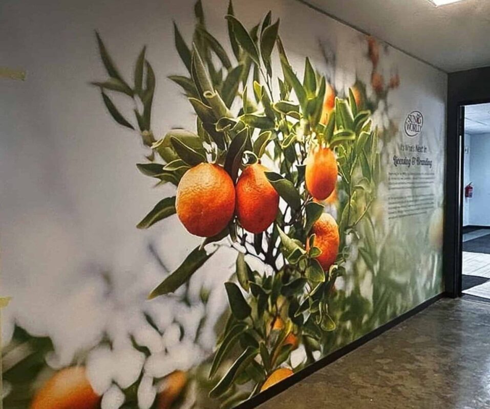 wallpaper installation